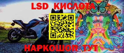 ECSTASY Ивантеевка
