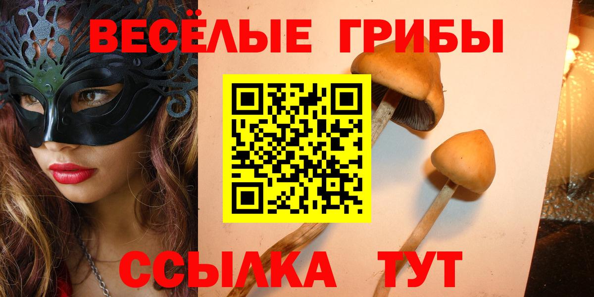 Псилоцибиновые грибы Psilocybine cubensis Азнакаево