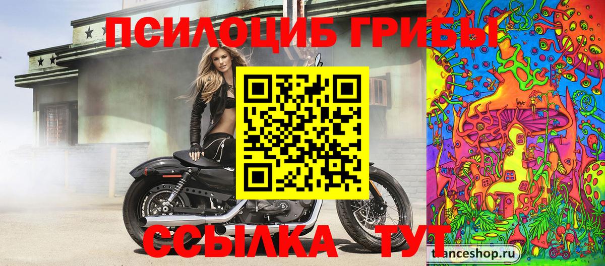 Азнакаево  Псилоцибиновые грибы GOLDEN TEACHER  Вход с VPN 